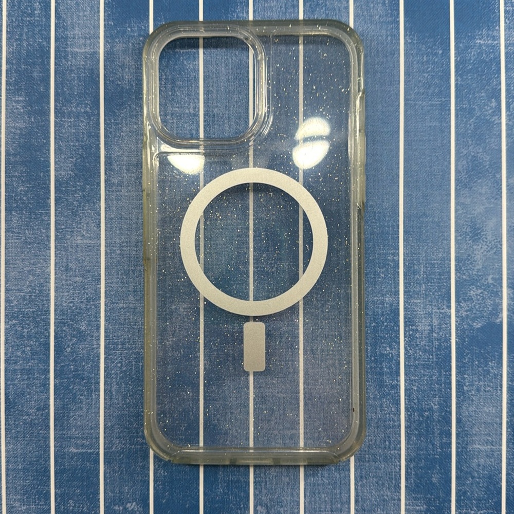 iPhone 13 Pro Max Case